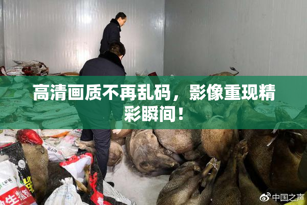 高清画质不再乱码，影像重现精彩瞬间！
