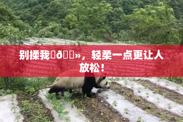 别揉我‌🐻，轻柔一点更让人放松！