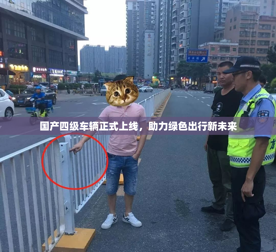 国产四级车辆正式上线，助力绿色出行新未来