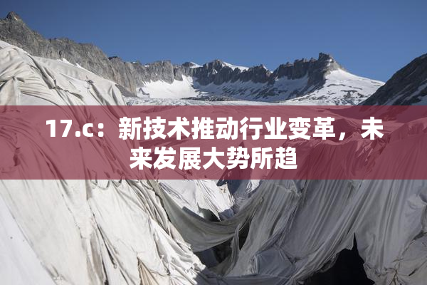 17.c：新技术推动行业变革，未来发展大势所趋