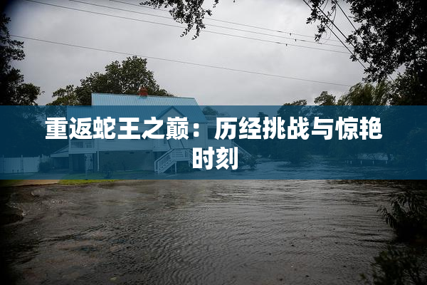 重返蛇王之巅：历经挑战与惊艳时刻