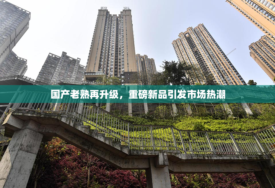 国产老熟再升级，重磅新品引发市场热潮