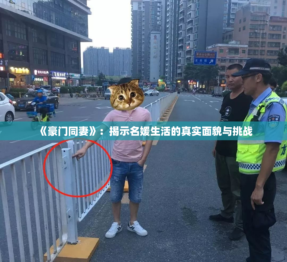 《豪门同妻》：揭示名媛生活的真实面貌与挑战