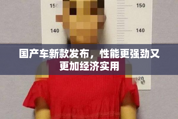 国产车新款发布，性能更强劲又更加经济实用