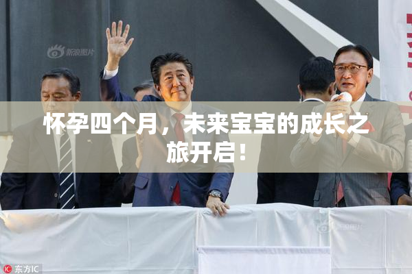 怀孕四个月，未来宝宝的成长之旅开启！