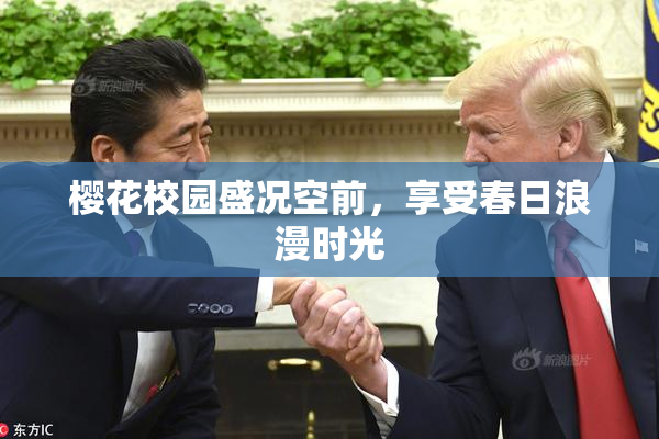樱花校园盛况空前，享受春日浪漫时光