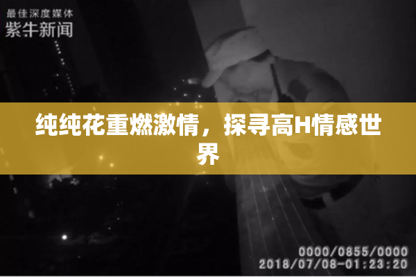 纯纯花重燃激情，探寻高H情感世界