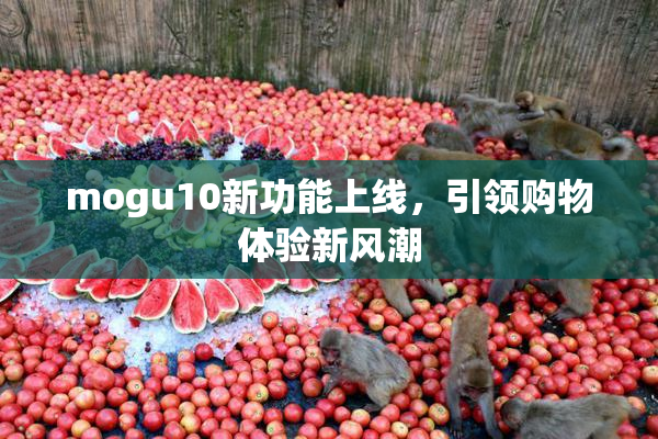 mogu10新功能上线，引领购物体验新风潮