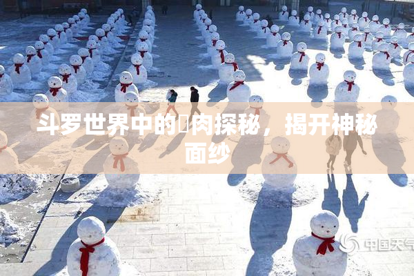 斗罗世界中的婬肉探秘，揭开神秘面纱