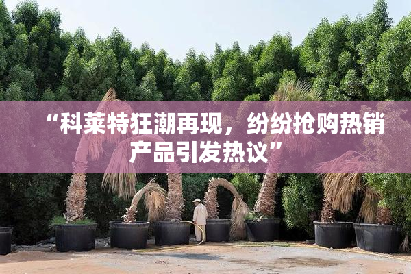 “科莱特狂潮再现，纷纷抢购热销产品引发热议”