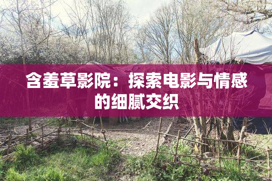 含羞草影院：探索电影与情感的细腻交织
