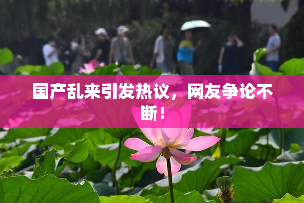 国产乱来引发热议，网友争论不断！