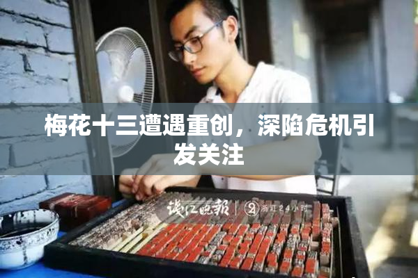 梅花十三遭遇重创，深陷危机引发关注