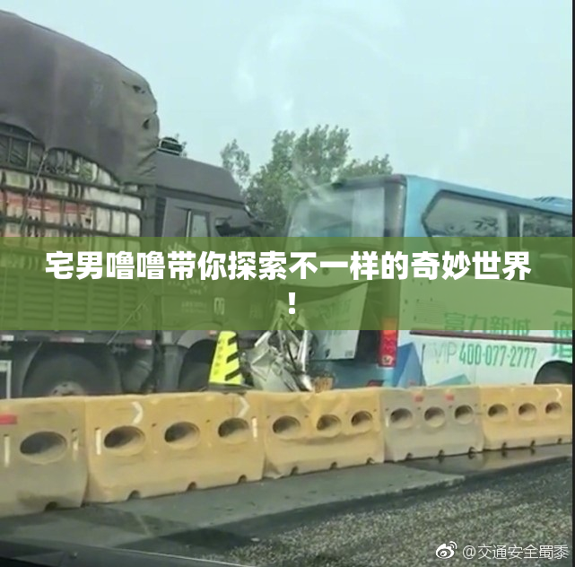 宅男噜噜带你探索不一样的奇妙世界！