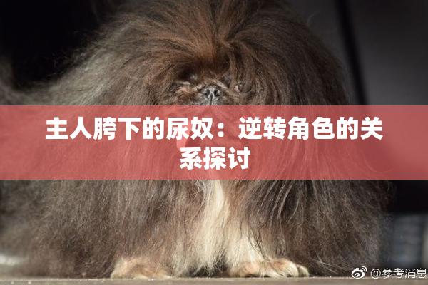 主人胯下的尿奴：逆转角色的关系探讨