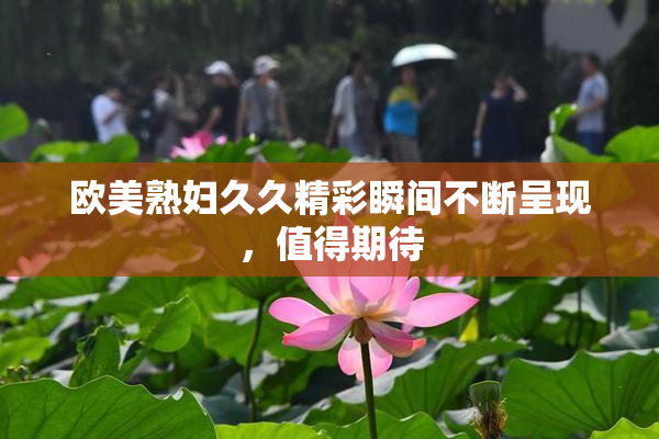 欧美熟妇久久精彩瞬间不断呈现，值得期待