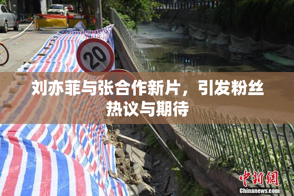 刘亦菲与张合作新片，引发粉丝热议与期待