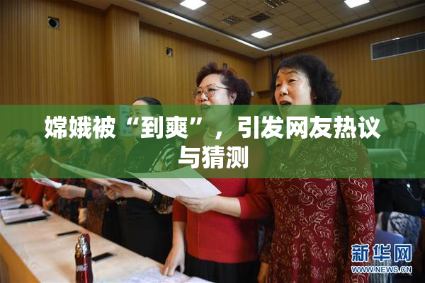 嫦娥被“到爽”，引发网友热议与猜测