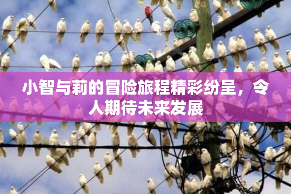 小智与莉的冒险旅程精彩纷呈，令人期待未来发展