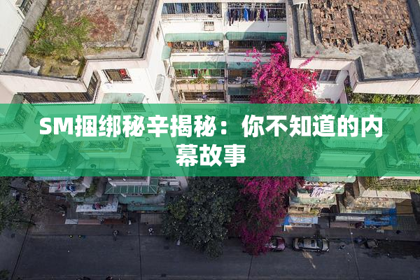 SM捆绑秘辛揭秘：你不知道的内幕故事
