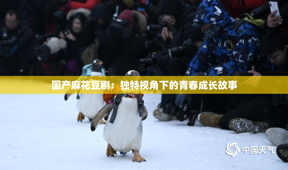 国产麻花豆剧：独特视角下的青春成长故事