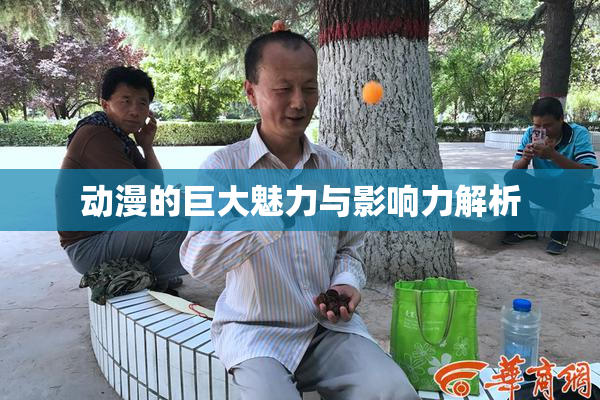 动漫的巨大魅力与影响力解析