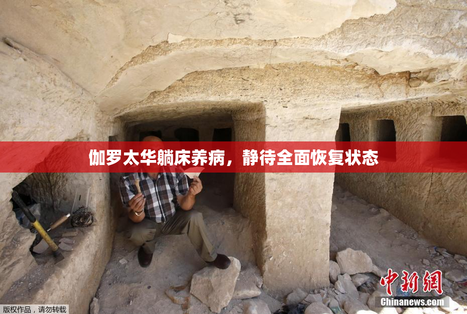 伽罗太华躺床养病，静待全面恢复状态