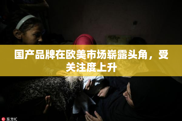 国产品牌在欧美市场崭露头角，受关注度上升