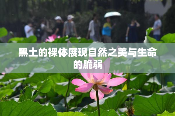 黑土的裸体展现自然之美与生命的脆弱