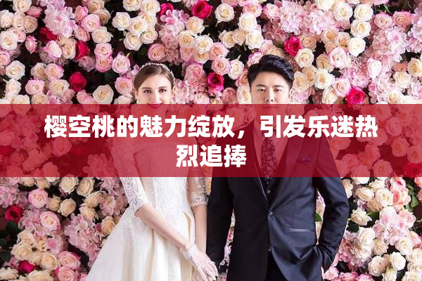 樱空桃的魅力绽放，引发乐迷热烈追捧