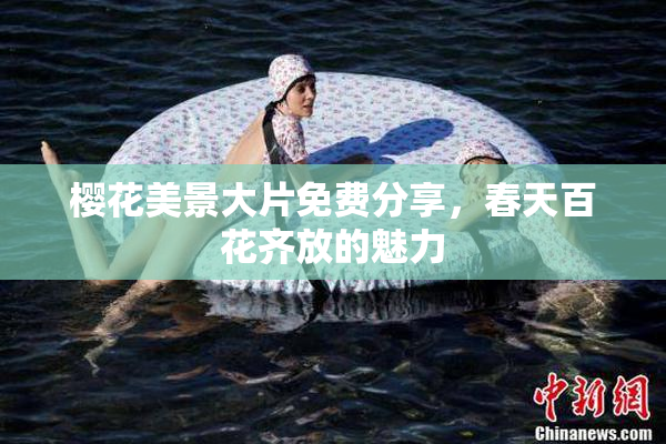 樱花美景大片免费分享，春天百花齐放的魅力