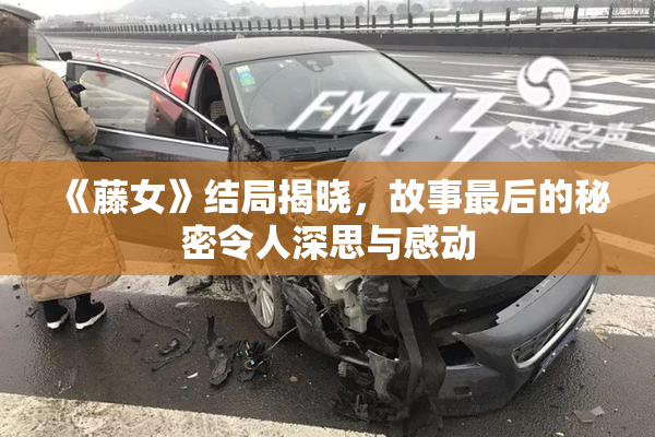 《藤女》结局揭晓，故事最后的秘密令人深思与感动