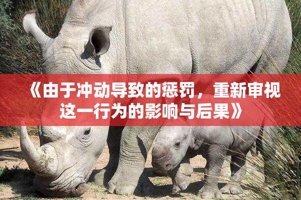 《由于冲动导致的惩罚，重新审视这一行为的影响与后果》