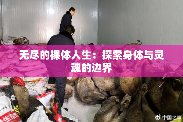 无尽的裸体人生：探索身体与灵魂的边界