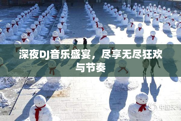 深夜DJ音乐盛宴，尽享无尽狂欢与节奏