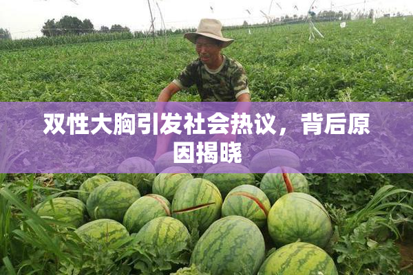 双性大胸引发社会热议，背后原因揭晓
