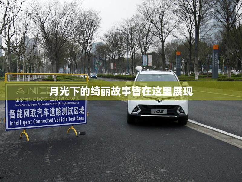 月光下的绮丽故事皆在这里展现