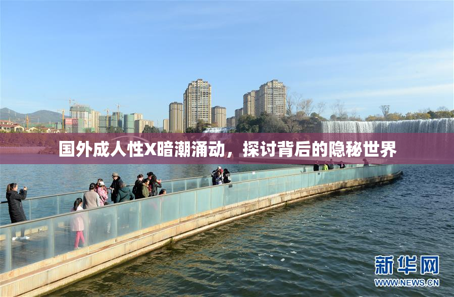 国外成人性X暗潮涌动，探讨背后的隐秘世界