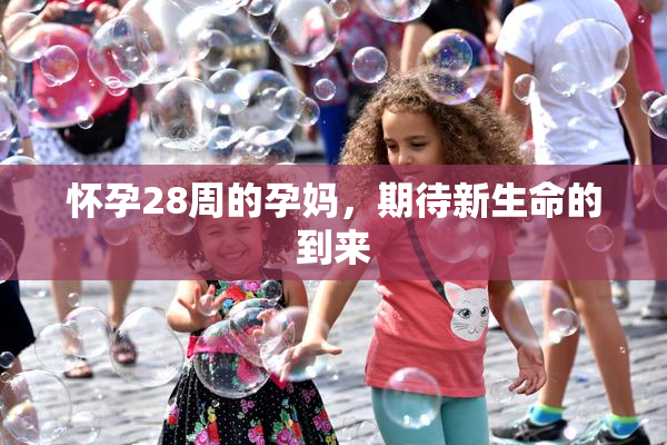 怀孕28周的孕妈，期待新生命的到来