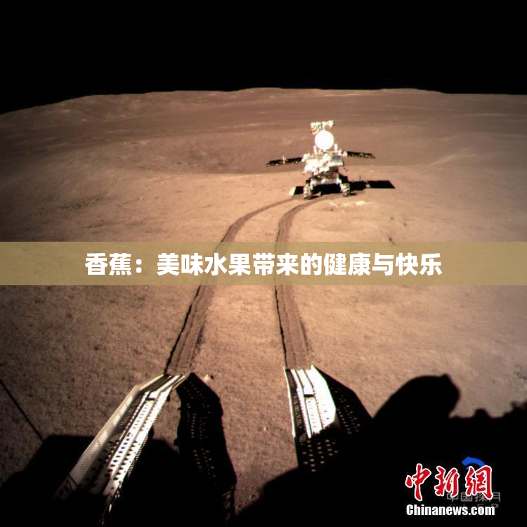 香蕉：美味水果带来的健康与快乐