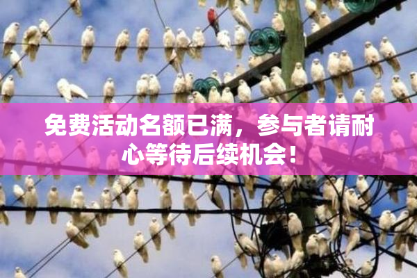 免费活动名额已满，参与者请耐心等待后续机会！