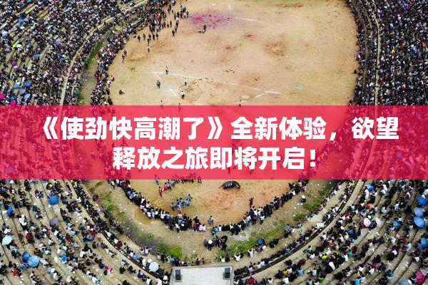《使劲快高潮了》全新体验，欲望释放之旅即将开启！