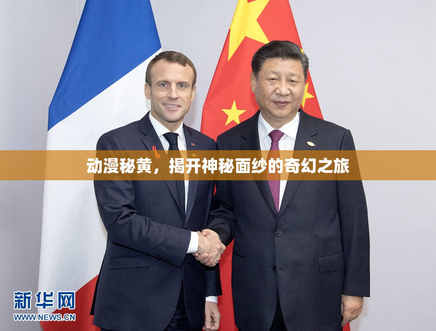 动漫秘黄，揭开神秘面纱的奇幻之旅