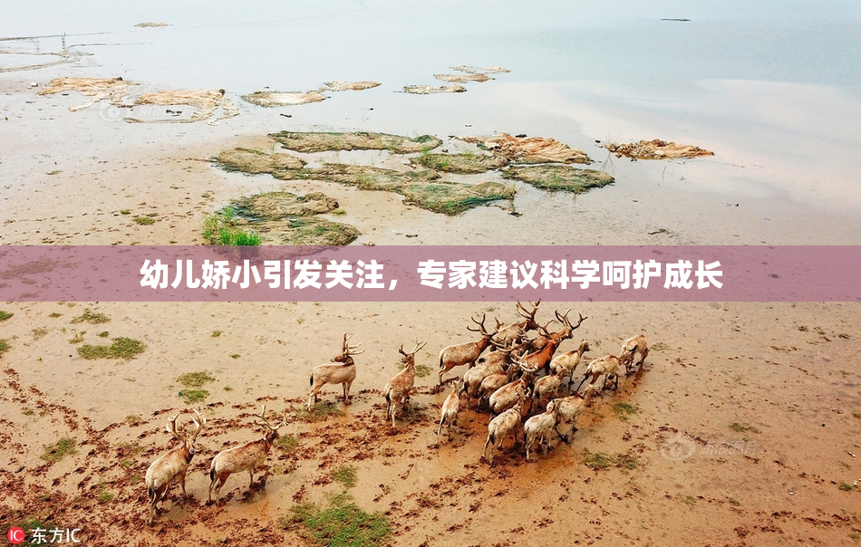 幼儿娇小引发关注，专家建议科学呵护成长