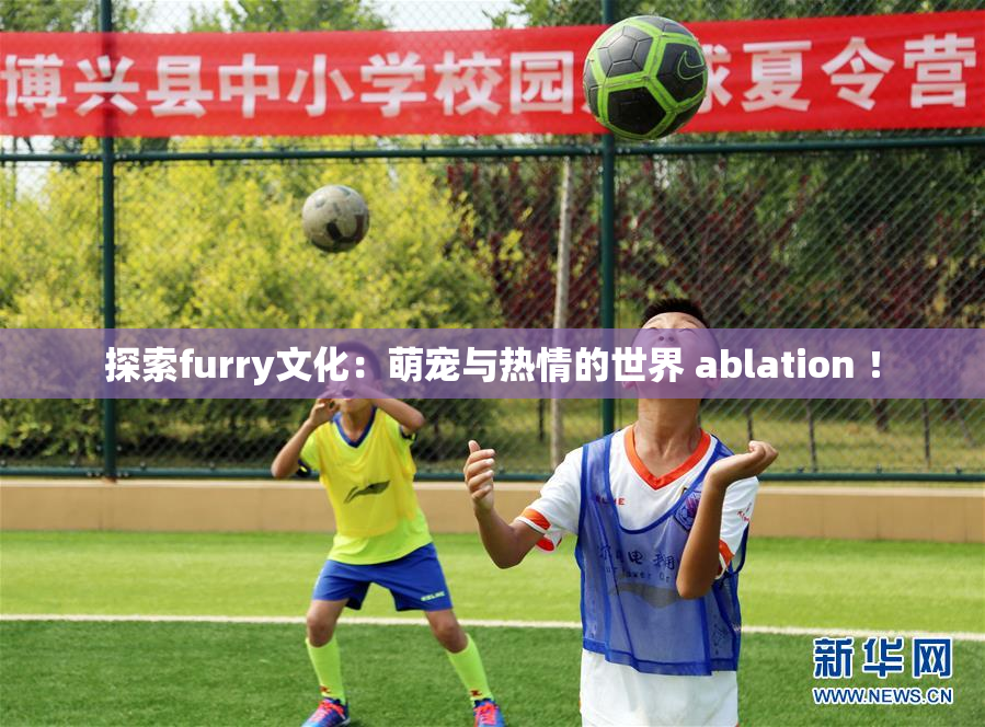 探索furry文化：萌宠与热情的世界 ablation ！
