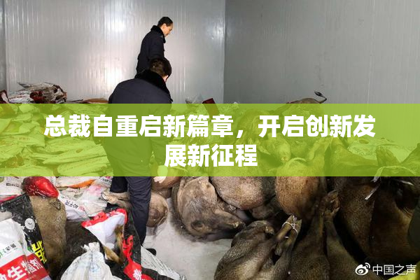 总裁自重启新篇章，开启创新发展新征程