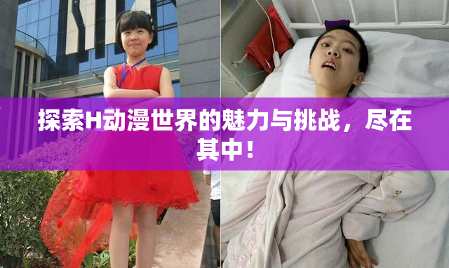 探索H动漫世界的魅力与挑战，尽在其中！