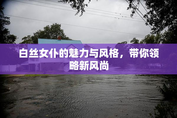 白丝女仆的魅力与风格，带你领略新风尚