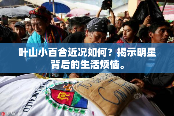 叶山小百合近况如何？揭示明星背后的生活烦恼。