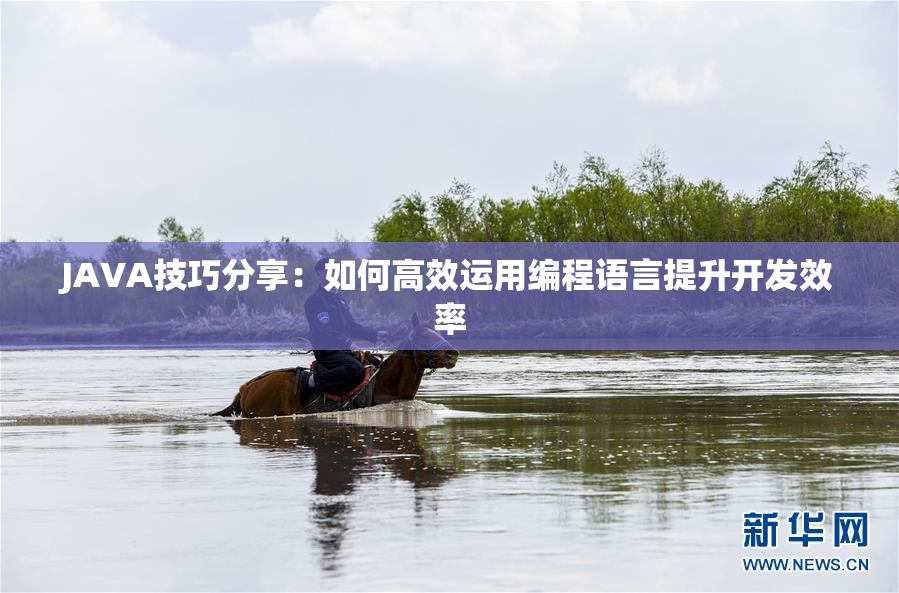 JAVA技巧分享：如何高效运用编程语言提升开发效率